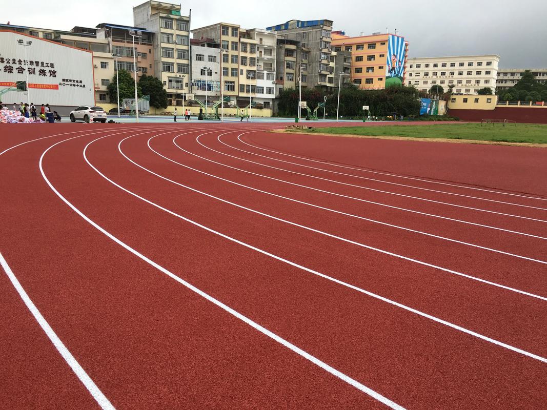 许昌市EPDM颗粒塑胶跑道材料 - 排名